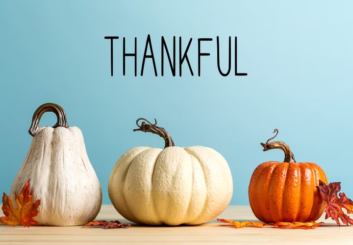 Thankful message with pumpkins